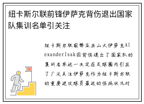 纽卡斯尔联前锋伊萨克背伤退出国家队集训名单引关注